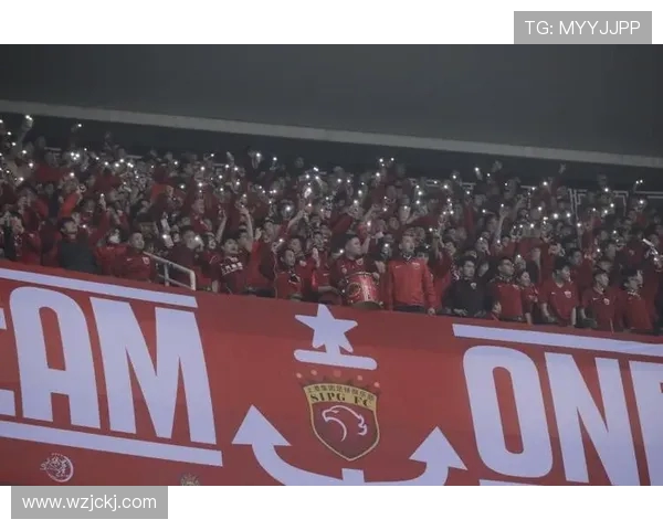 上海申花与上港的激烈对决足彩分析与投注策略分享